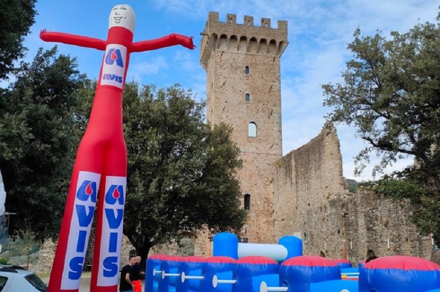 La locandina celebra il 55° anniversario di AVIS Castelnuovo Magra. Lo sfondo generale è di colore rosso scuro con il testo in bianco o giallo chiaro per un buon contrasto con l'immagine stilizzata di un cuore con una sacca per la raccolta del sangue e le gocce di sangue, simbolo della donazione. Quindi, si staglia l'illustrazione di un centro storico fortificato, che rappresenta il Castello dei Vescovi di Luni nel centro storico di Castelnuovo Magra. 
Sotto la voce "PROGRAMMA"sono elencati i diversi appuntamenti che si susseguono dalle ore 9 alle 12:30. Inoltre, vengono date altre informazioni: la data, il luogo principale, il punto di ritrovo, l’orario di accreditamento. Infine i contatti e i riferimenti sui social (sito, email, instagram).

