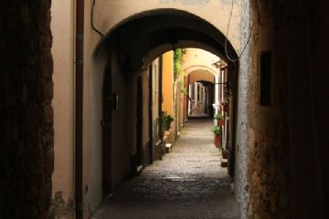 Sfoglia la galleria