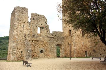 Sfoglia la galleria